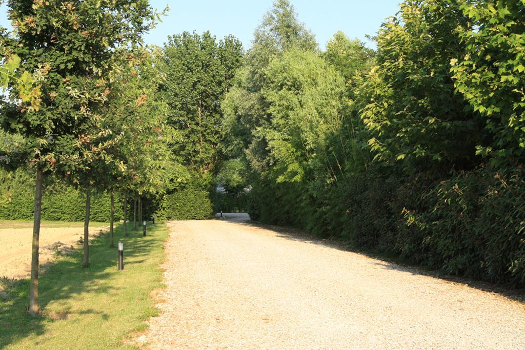 Agriturismo B&B Il Girasole 奥利亚格·迪米拉 外观 照片